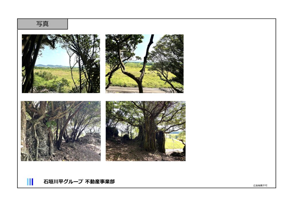 石垣島不動産　売却　売買　土地　建物　マンション　収益物件　投資物件　リゾート用地　事業用地　物件概要書